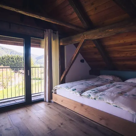 Hayrack Skok Apartment *